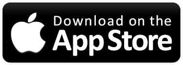 Download translator free